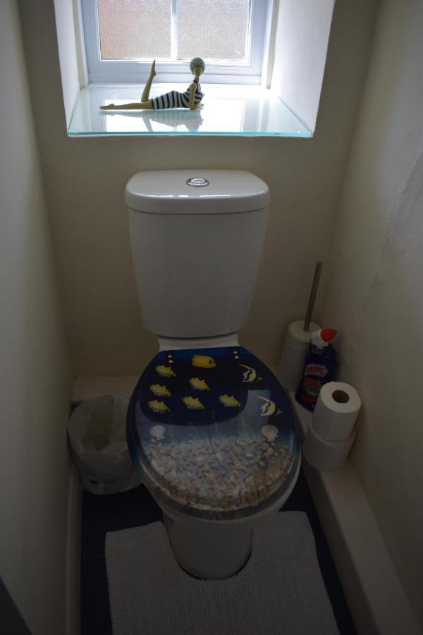 Apartmán Froglets Tregoney Exteriér fotografie